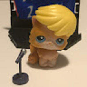 Meet your Posher, Lps